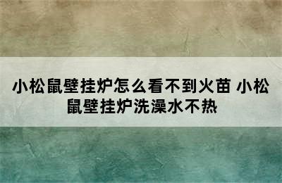 小松鼠壁挂炉怎么看不到火苗 小松鼠壁挂炉洗澡水不热